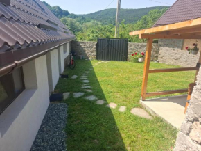 Casa nouă